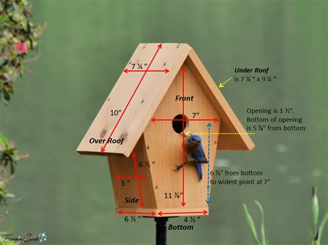 does a bluebird house need metal around the opending|facts about bluebird house.